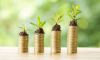Μικρομεσαίες επιχειρήσεις: Φορολογικά κίνητρα για επενδύσεις στην πράσινη οικονομία, την ενέργεια και την ψηφιοποίηση